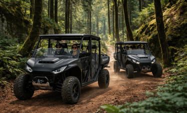 Buggy ride in Sintra forest