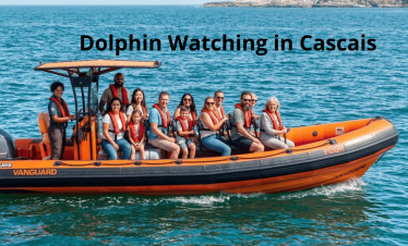 Dolphin Watching in Cascais