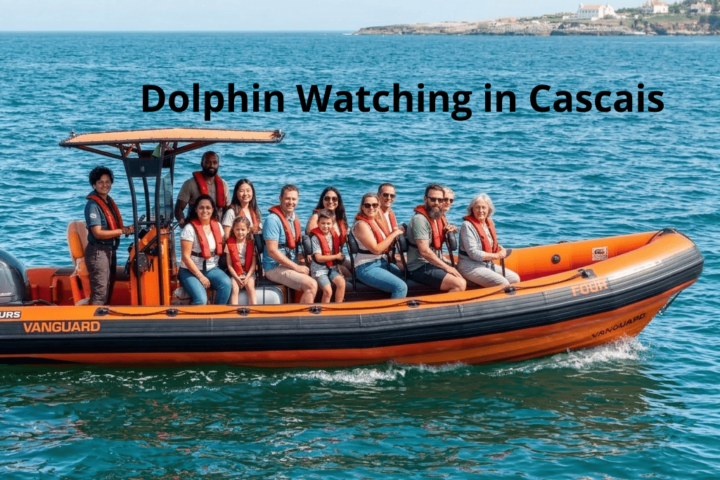 Dolphin Watching in Cascais