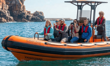 Dolphin Watching tour from Cascais