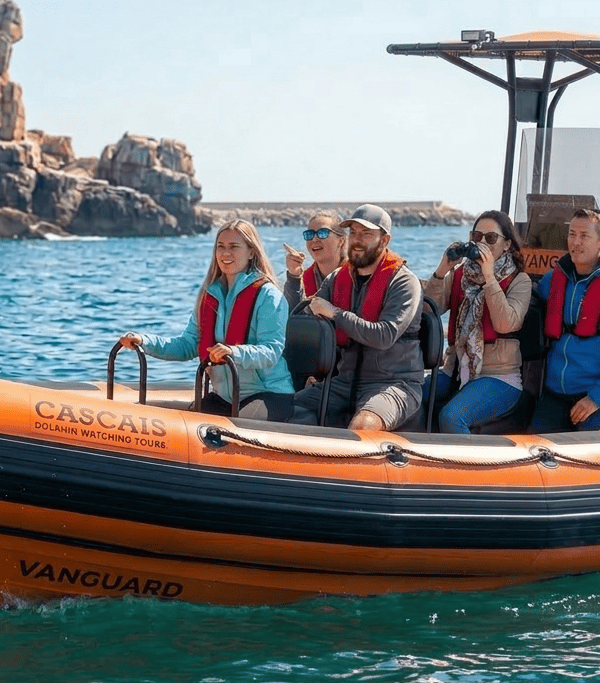 Dolphin Watching tour from Cascais