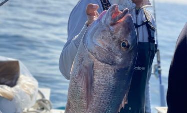 fishing charter from Cascais