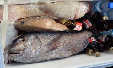 fishing in Portugal